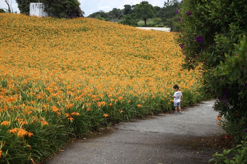 Garden Pathways