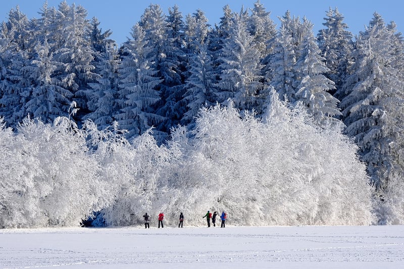 Winter House
